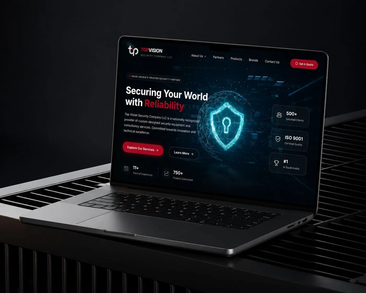 Top Vision Security - Websites